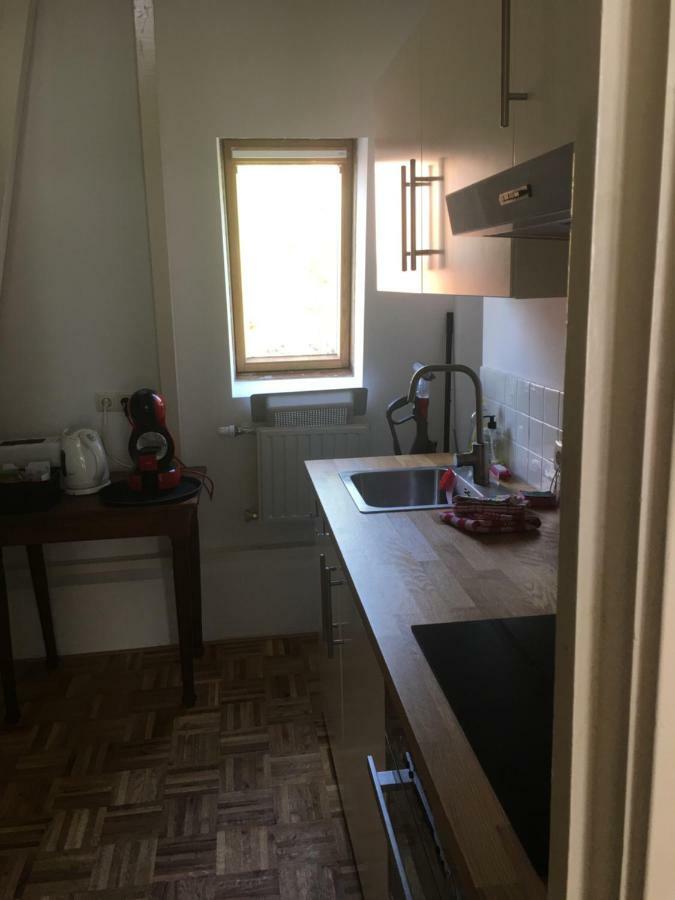 شقة Pied A Terre Oostersingel Umcg جروننجن المظهر الخارجي الصورة